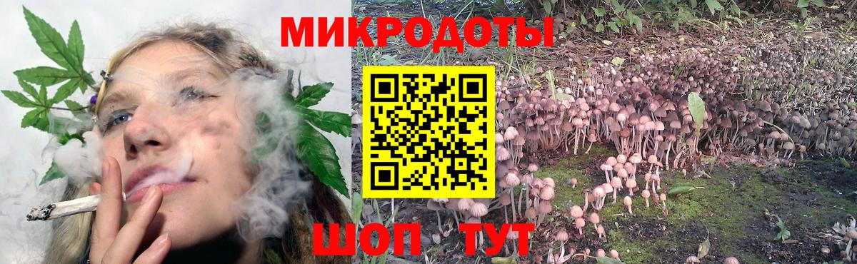Галлюциногенные грибы прущие грибы Петропавловск-Камчатский