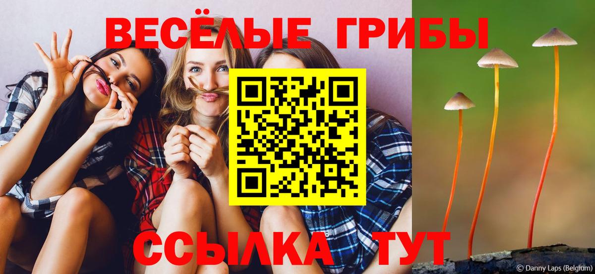 Петропавловск-Камчатский  Псилоцибиновые грибы Psilocybine cubensis  Вход с VPN 